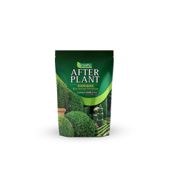 Empathy After Plant Evergreens With Rootgrow 1kg