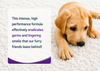 Carpet Shampoo Cleaner Solution Removes Pet Urine, Odours & Stains Deodoriser 5L