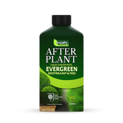 Empathy After Plant Evergreens 1L