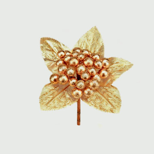 Premier Berry Pick 10cm