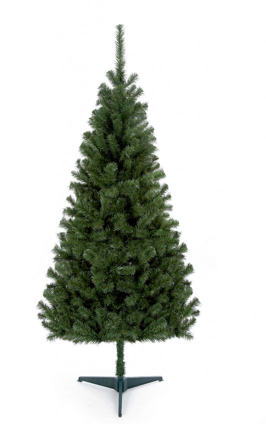 Premier Douglas Fir Tree 1.8m