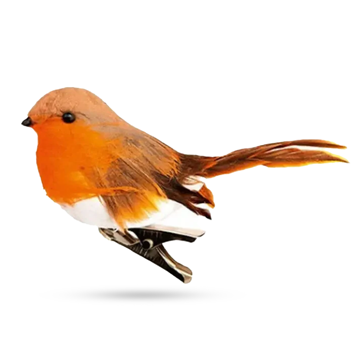 Premier Robin On Clip