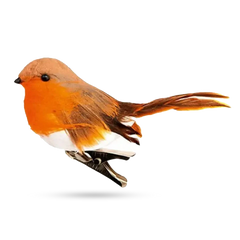 Premier Robin On Clip