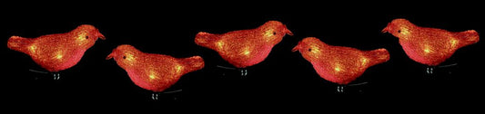 Premier Acrylic Robin With Clip 16cm With 30 Warm White LEDs