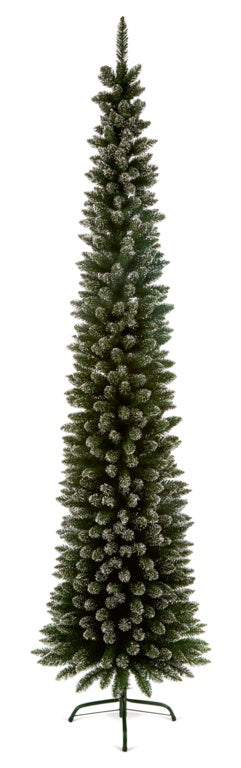 Premier Pencil Pine Snow Tipped 2m