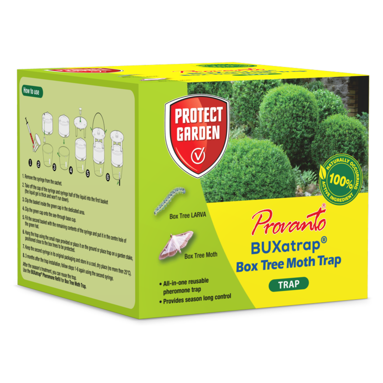 Provanto Box Tree Moth Trap