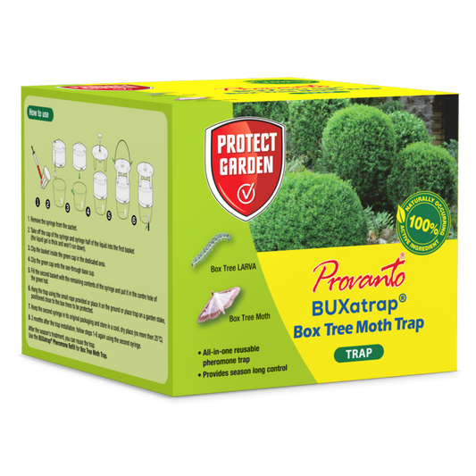 Provanto Box Tree Moth Trap