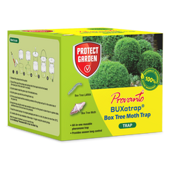 Provanto Box Tree Moth Trap