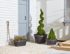 Strata Extra Large Oakwood Barrel Planter 62.5cm