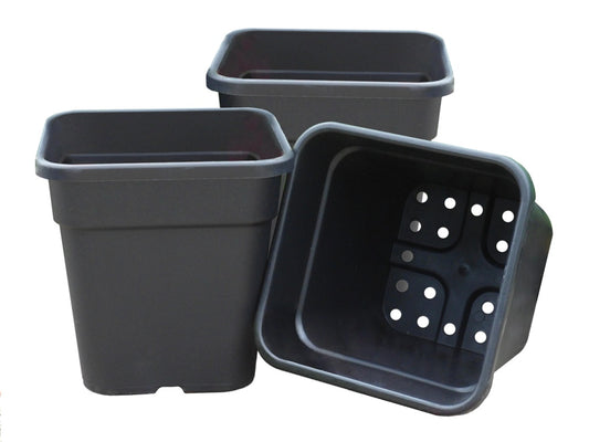 Garland 25cm Square Tomato Pots Pack 3
