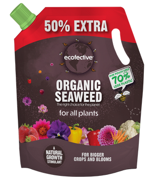 Ecofective Organic Seaweed 1.2L