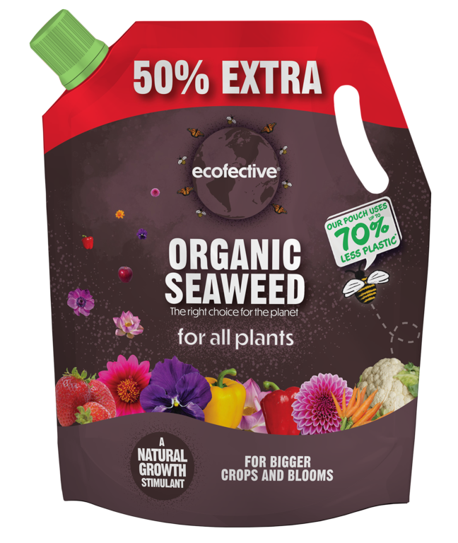 Ecofective Organic Seaweed 1.2L