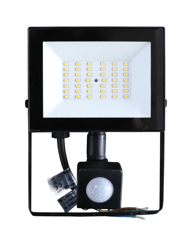 Securlec LED Floodlight 30w