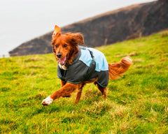 Henry Wag Waterproof Dog Coat Medium 45cm