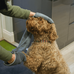 Henry Wag Pet Glove Towel 100x22