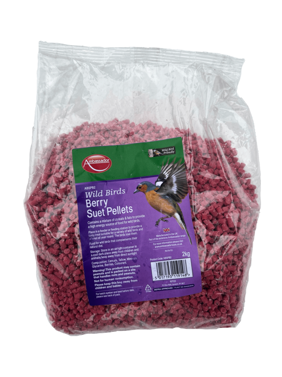 Ambassador Berry Suet Pellets 2kg