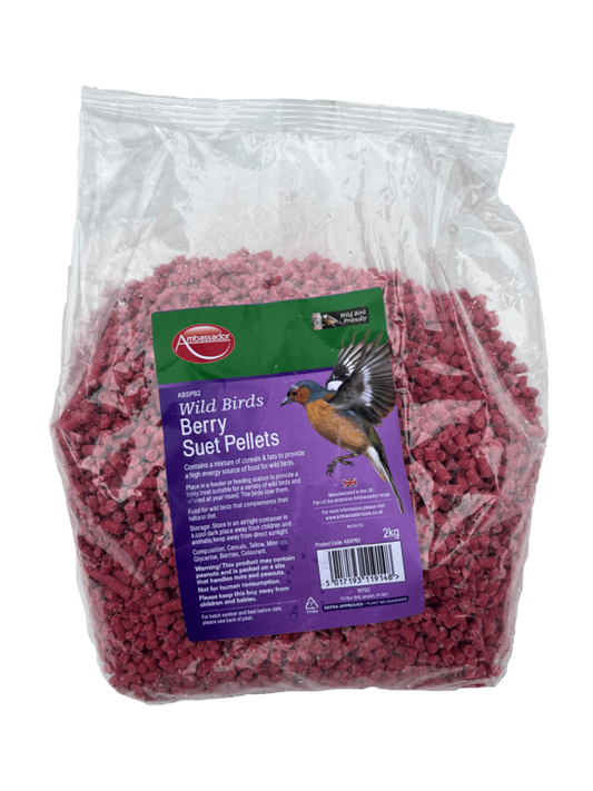 Ambassador Berry Suet Pellets 2kg