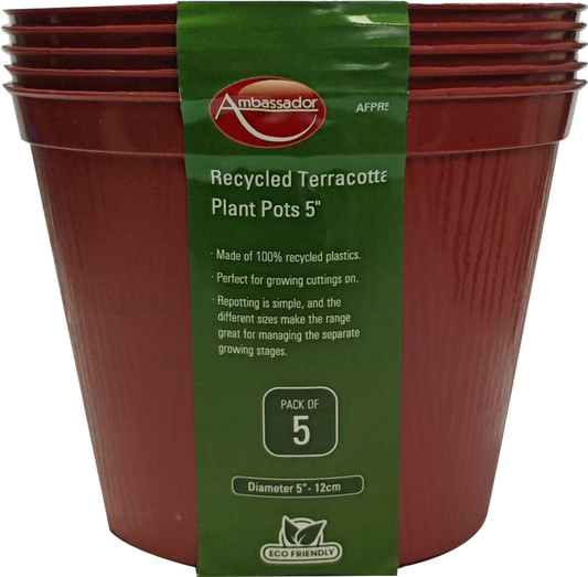 Ambassador Terracotta Plant Pots 5" Pack 5