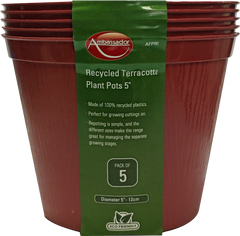 Ambassador Terracotta Plant Pots 5" Pack 5