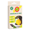 Baby Bio Houseplant Fly Traps Pack 10