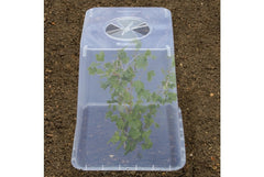 Garland Square Cloche Cover 32cm