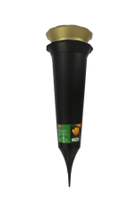 Ambassador Gold Grave Spike Black Script