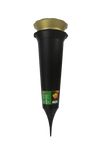 Ambassador Black Grave Spike Gold Script