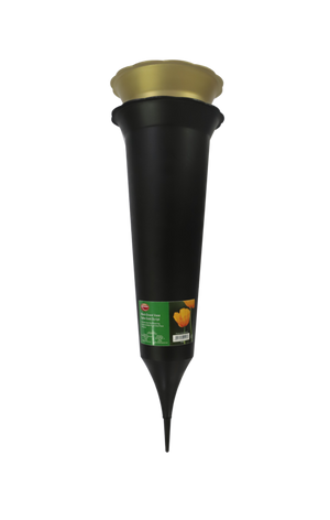 Ambassador Black Grave Spike Gold Script