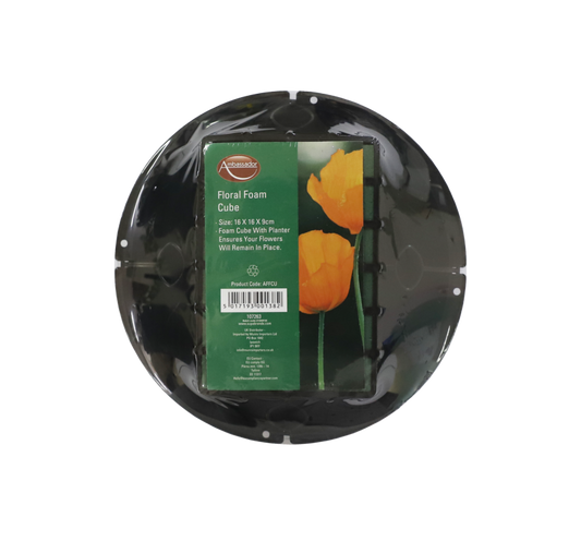 Ambassador Floral Foam Cube 16 x 16 x 9cm