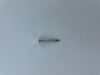 Securfix Stainless Steel Plastic Headed Nail White 40mm 50 Pack