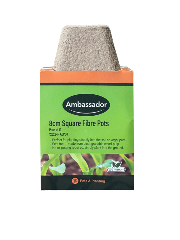 Ambassador 8cm Square Fibre Pots Pack 96