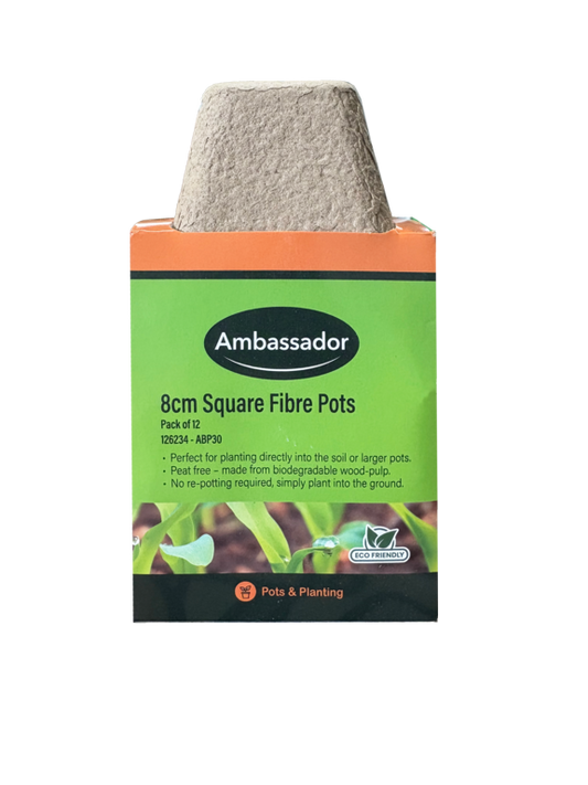 Ambassador 8cm Square Fibre Pots Pack 96