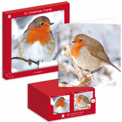 Ig Design Square Christmas Cards Pack 10 Robins