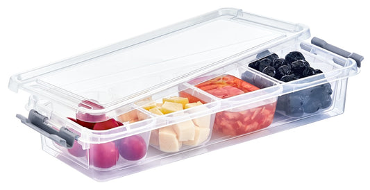 Hobbylife 4 Divider Flat Grand Organiser Box 2.5L