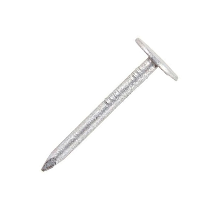 Securpak Large Head Clout Nails 13mm 90g