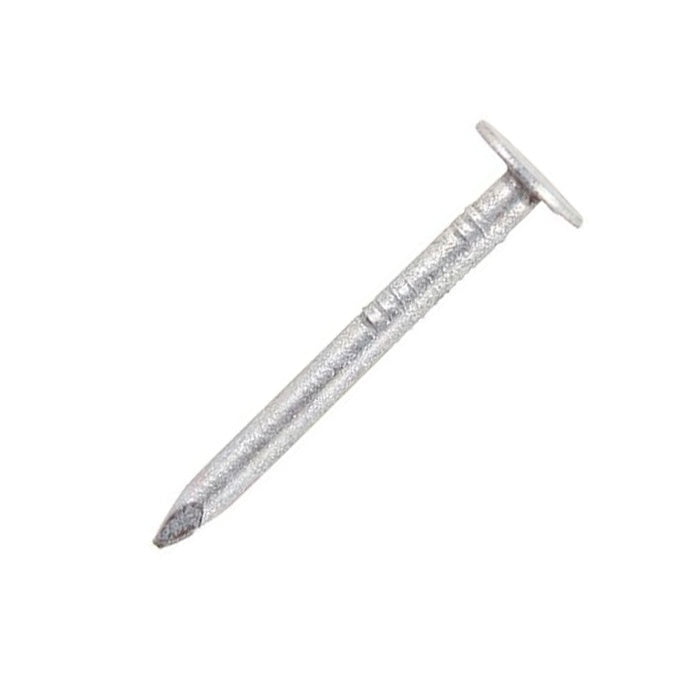 Securpak Clout Nails Galvanised 30mm 90g