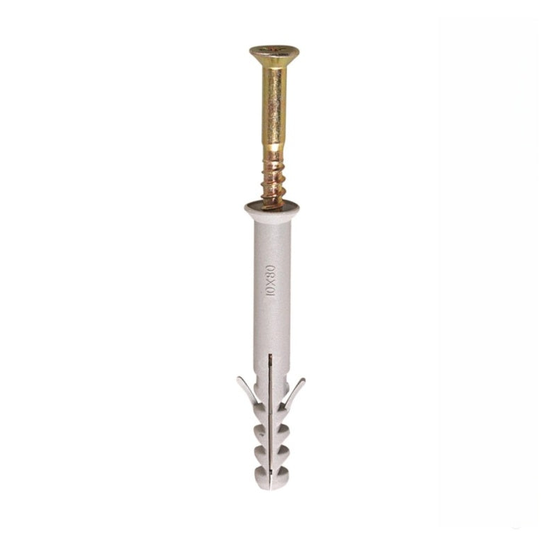 Securpak Frame Fixing M10x100mm 1 Pack