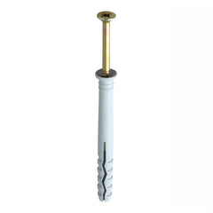 Securpak Hammer Fixing M8x100mm 2 Pack