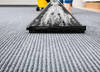 Carpet Shampoo Cleaner Solution Removes Pet Urine, Odours & Stains Deodoriser 5L