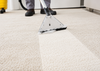 Carpet Shampoo Cleaner Solution Removes Pet Urine, Odours & Stains Deodoriser 5L