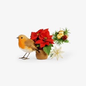 Picks & Flowers