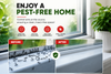 Doff 2 In 1 Ant Stop Nest Killer Bait Station Nest Killer Trap Ant Control Destroy Nest