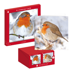Ig Design Square Christmas Cards Pack 10 Robins