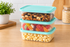 Wham Food Storage Box Container 2L Set of 3