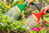 Fine As Rain Garden Watering Can Rose Multi Head Water Sprinkler Hose Sprayer