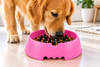 Large Pet Bowl Dog Cat Interactive Slow Food Feeder Healthy Feed Dish 3 colors