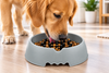 Large Pet Bowl Dog Cat Interactive Slow Food Feeder Healthy Feed Dish 3 colors