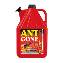 Buysmart Ant Gone Ant Killer 5L Jerrycan