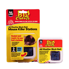 The Big Cheese Neo Zap Bait Refill 6 Blocks