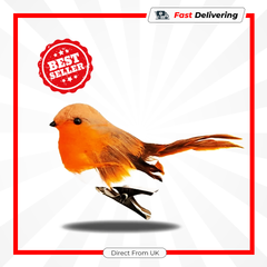 Premier Robin On Clip Christmas Tree Decoration Festive Bird Ornament